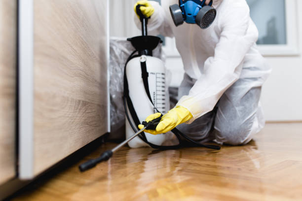 Best Wildlife Control Services  in Colorado City, AZ