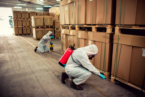Best Mosquito Control Services  in Colorado City, AZ