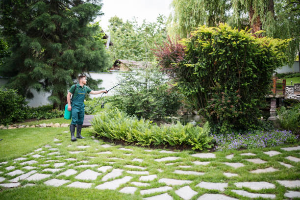 Best Pest Inspection Near Me  in Colorado City, AZ