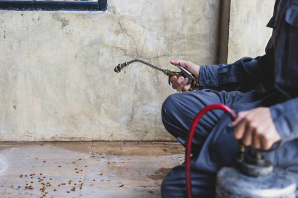 Best Pest Prevention Services  in Colorado City, AZ